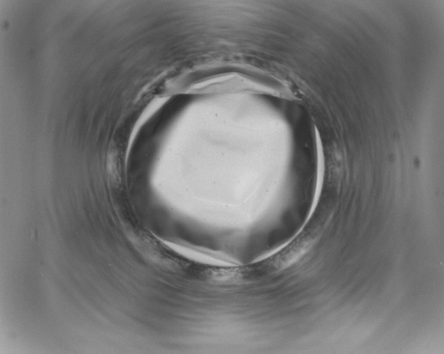 X0000066960088200604211852