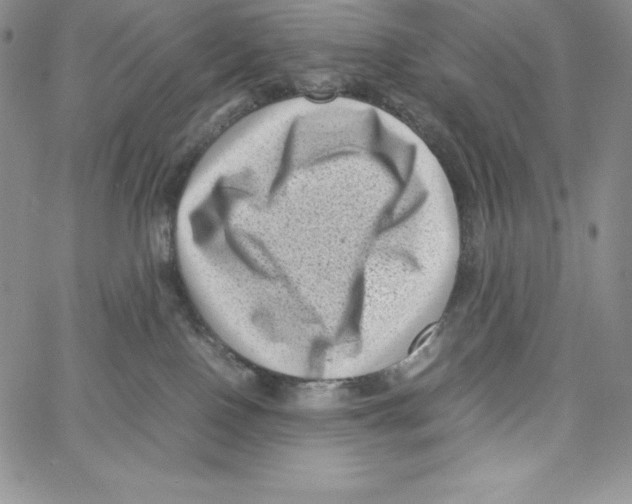 X0000066960090200604211852