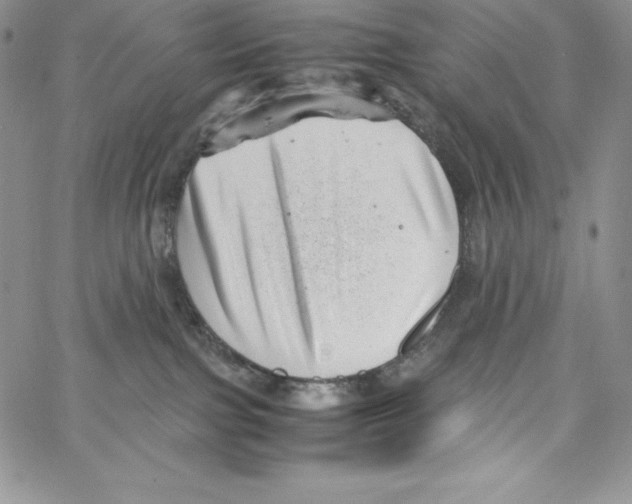 X0000066960091200604211852