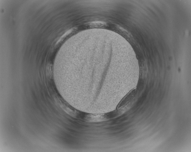 X0000066960093200604211852