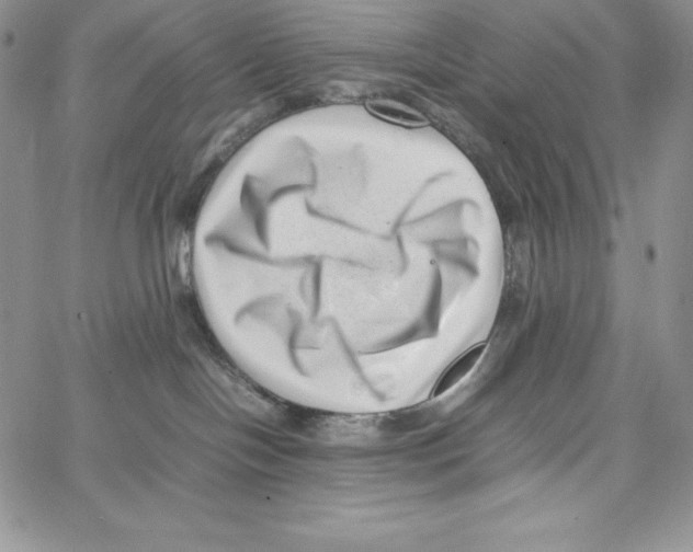 X0000066960094200604211852