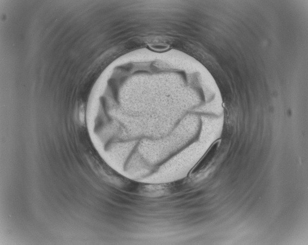 X0000066960095200604211852