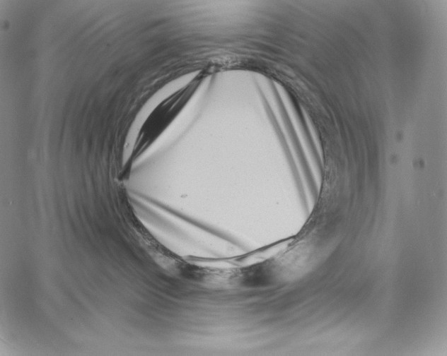 X0000066960096200604211852