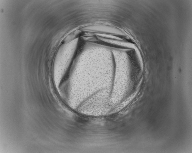 X0000066960097200604211851