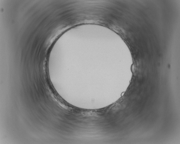 X0000066960098200604211851