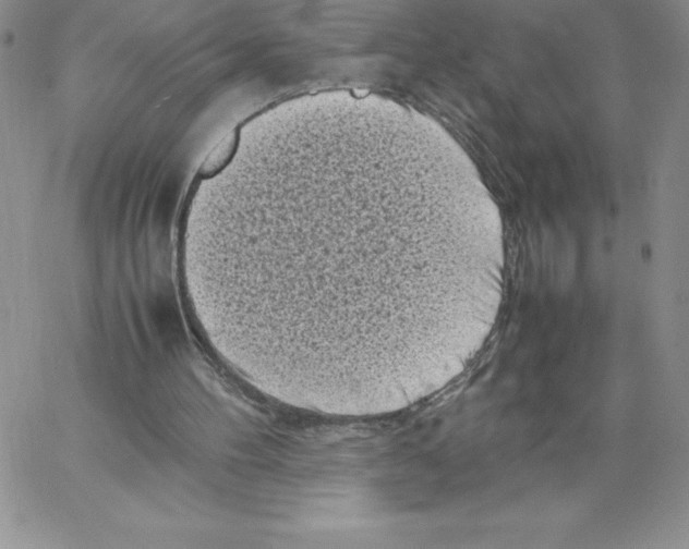 X0000066960100200604211851