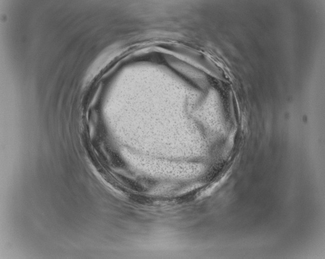 X0000066960101200604211851