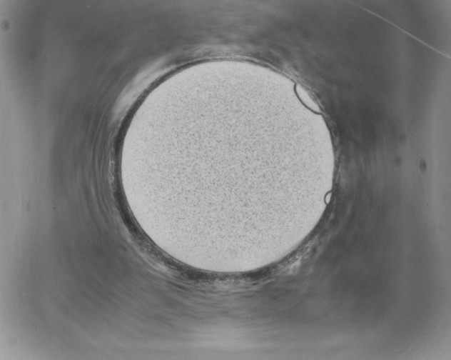 X0000066960103200604211851