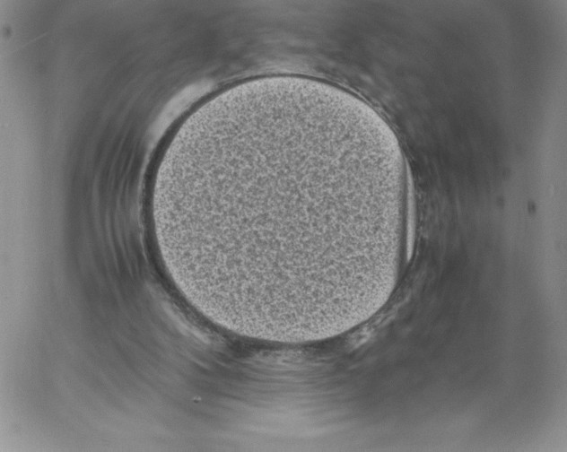 X0000066960104200604211851