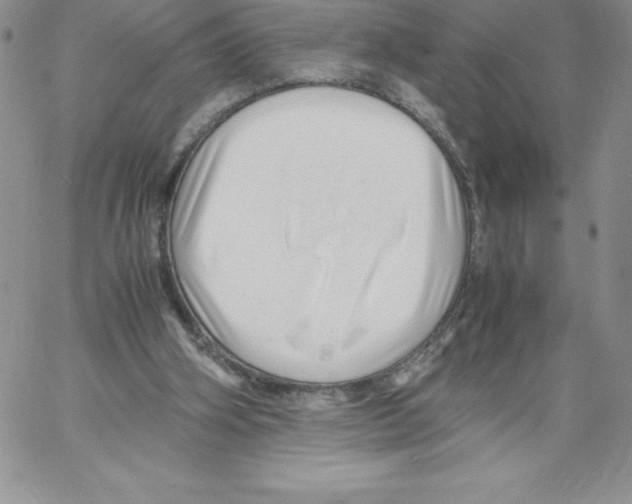 X0000066960106200604211851