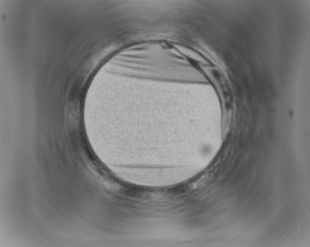 X0000066960107200604211851