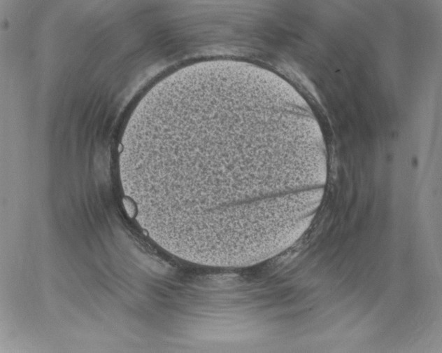 X0000066960108200604211851