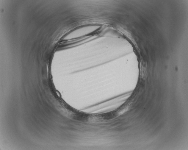 X0000066960109200604211851