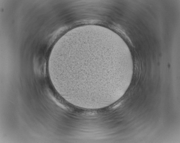 X0000066960110200604211851