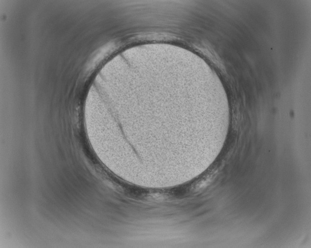 X0000066960111200604211851