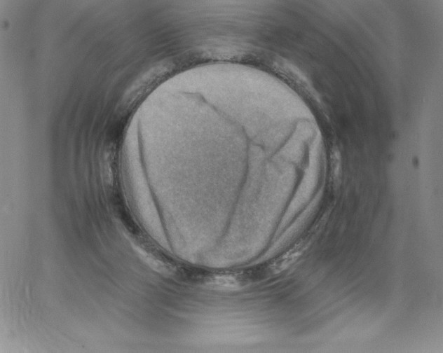 X0000066960114200604211851