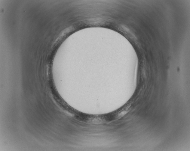 X0000066960115200604211851