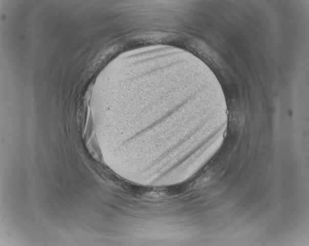 X0000066960119200604211851