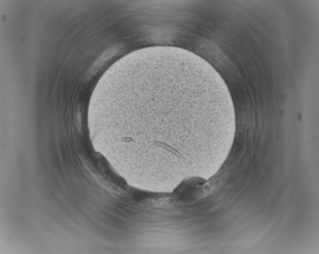 X0000066960120200604211851