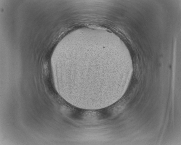 X0000066960123200604211851