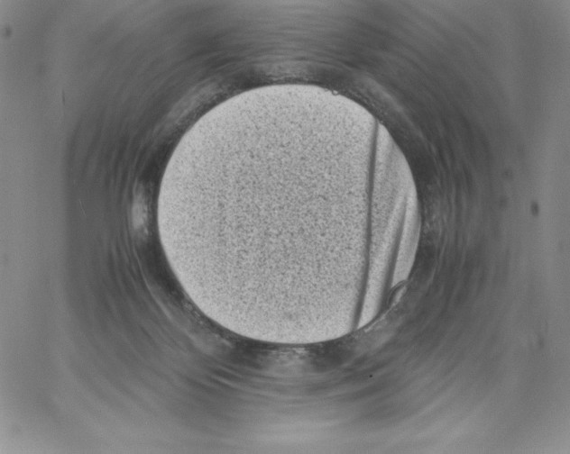 X0000066960124200604211851