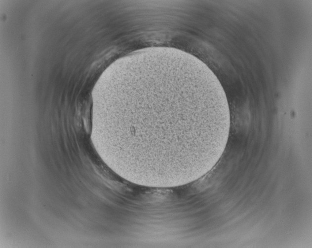 X0000066960128200604211851