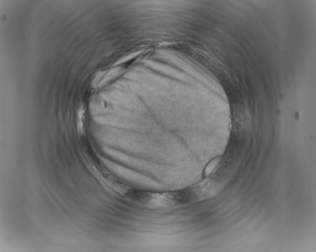 X0000066960130200604211851