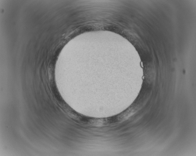 X0000066960131200604211851