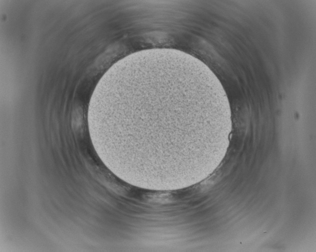 X0000066960132200604211851