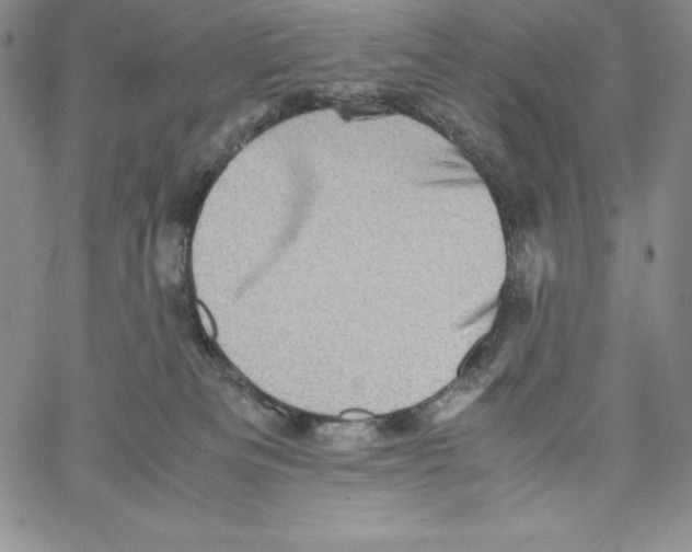 X0000066960133200604211851