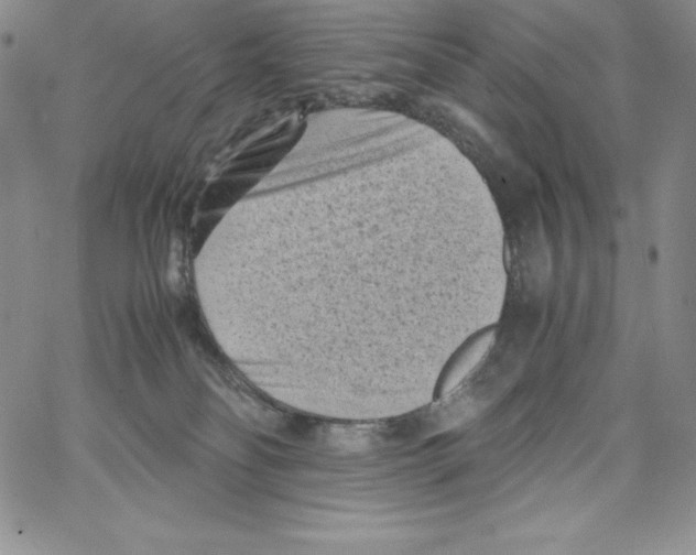 X0000066960134200604211851