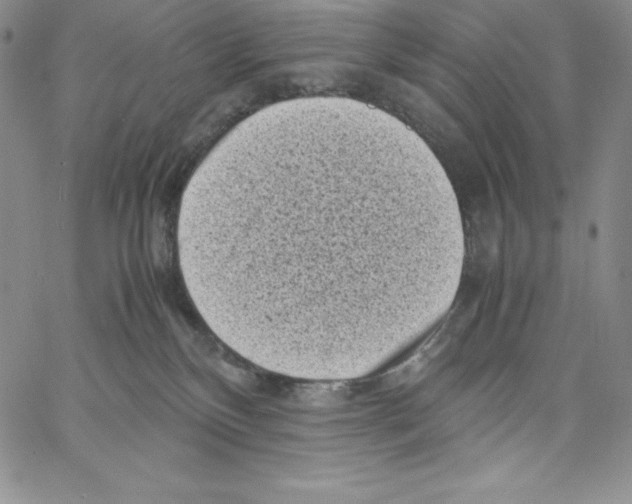 X0000066960136200604211851