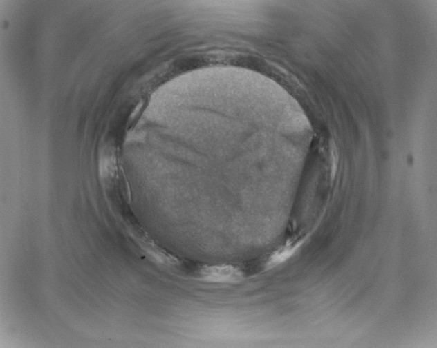 X0000066960137200604211851