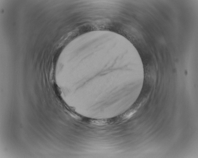 X0000066960139200604211851