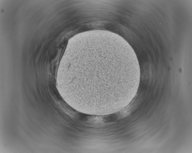 X0000066960140200604211851