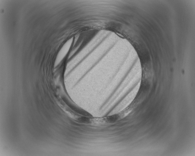 X0000066960141200604211851