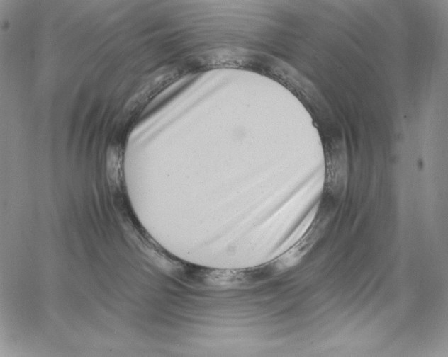 X0000066960142200604211851