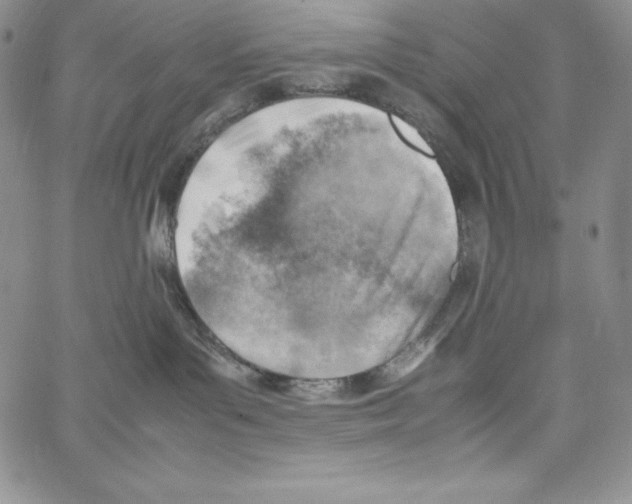 X0000066960143200604211851