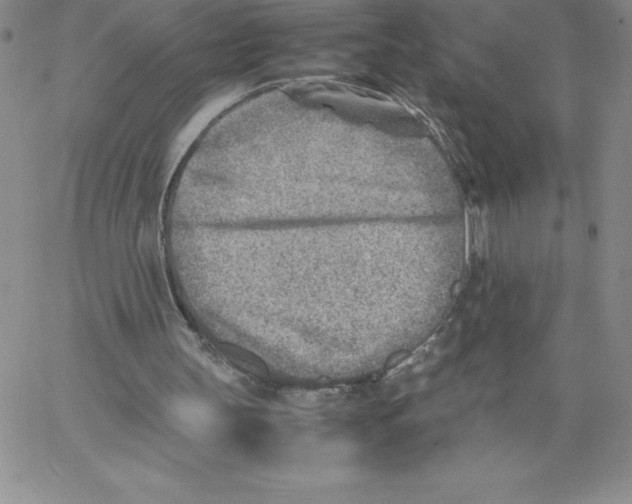 X0000066960147200604211850