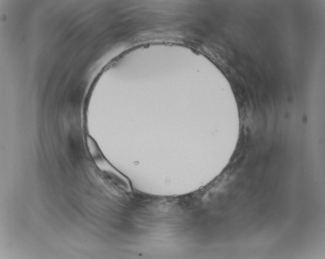 X0000066960148200604211850