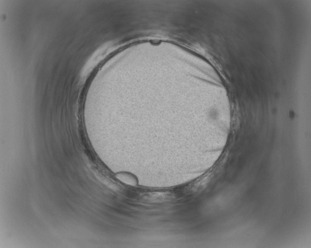 X0000066960151200604211850