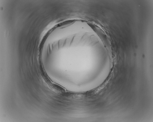 X0000066960152200604211850