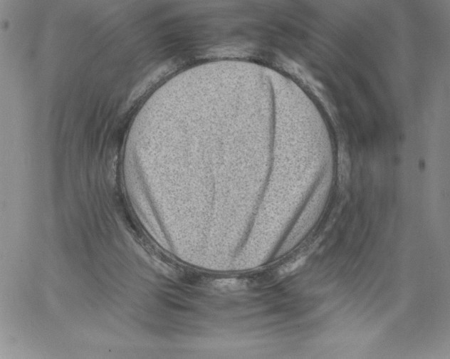 X0000066960153200604211850