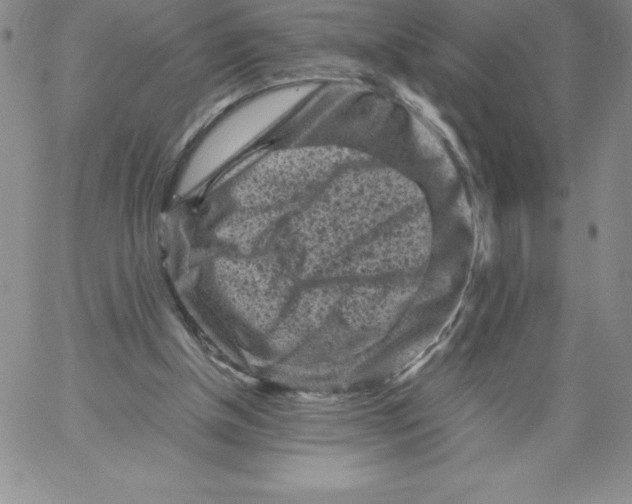 X0000066960154200604211850