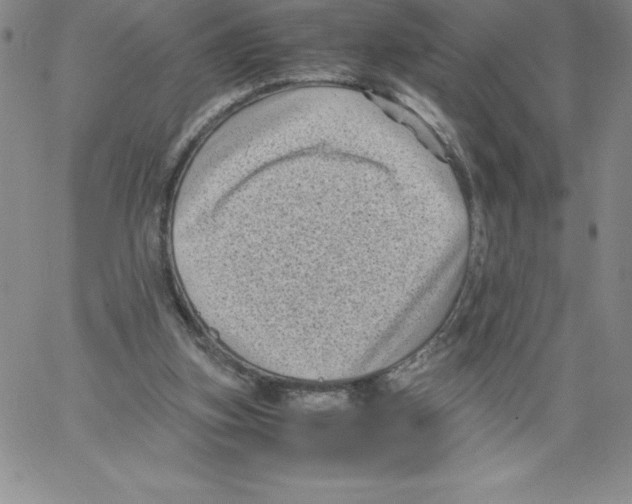 X0000066960155200604211850