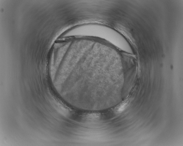 X0000066960156200604211850