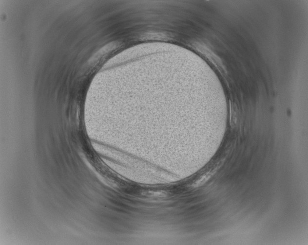 X0000066960157200604211850