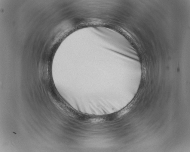 X0000066960158200604211850