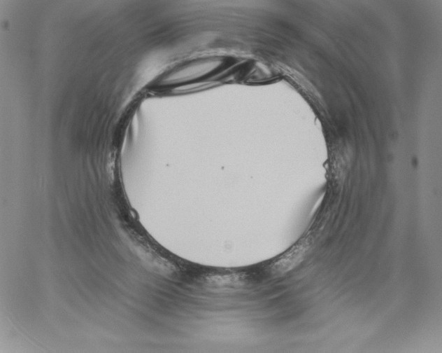 X0000066960160200604211850