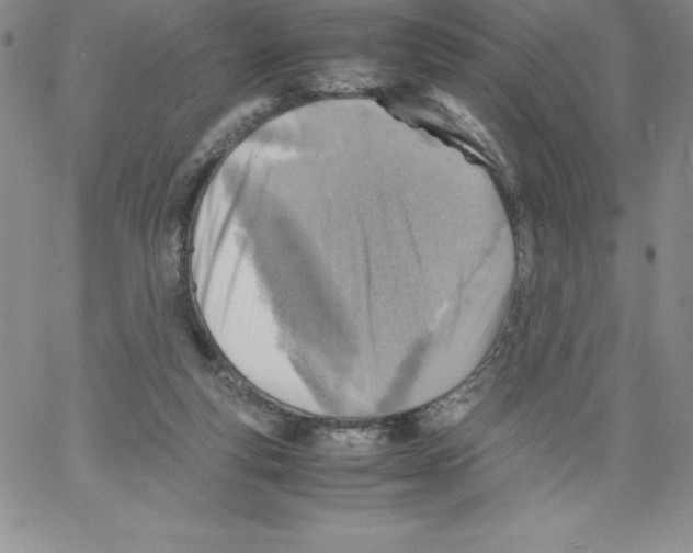 X0000066960163200604211850